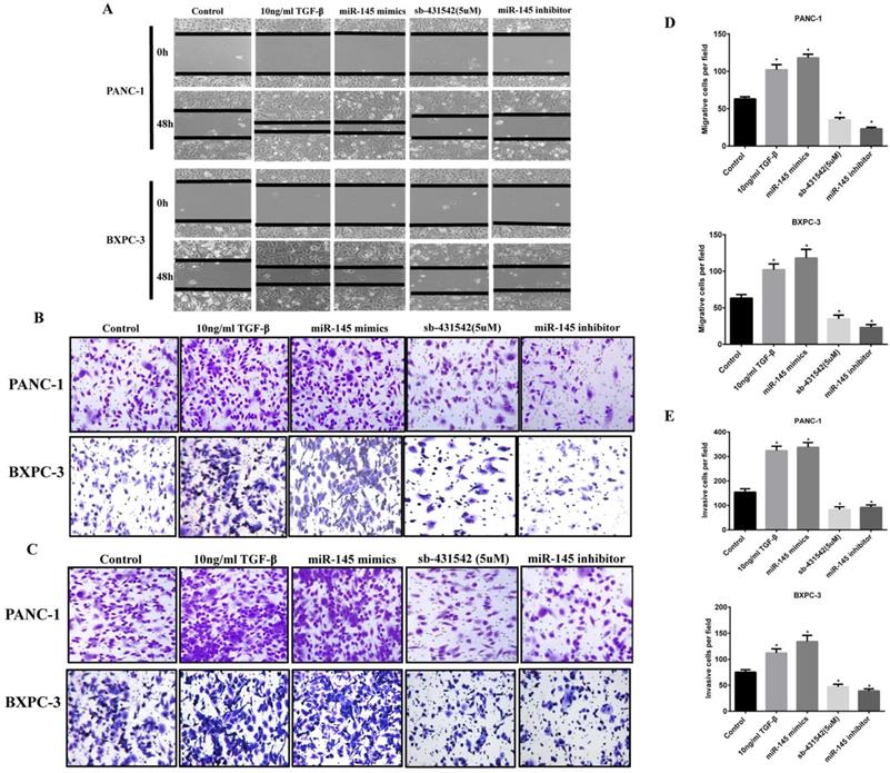 J Cancer Image