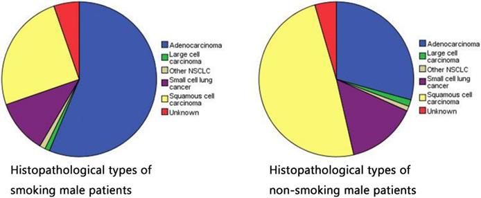 J Cancer Image