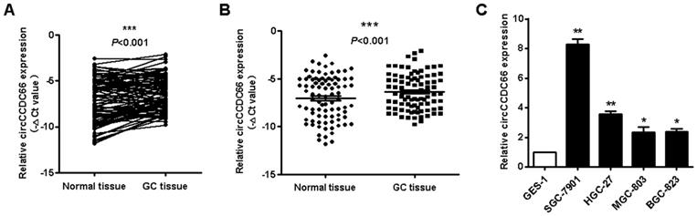 J Cancer Image