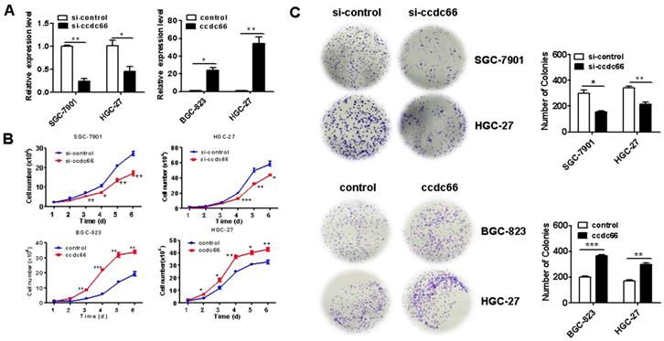 J Cancer Image