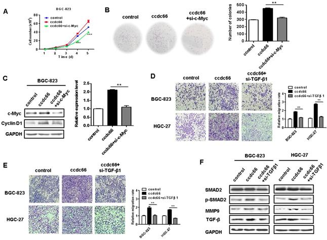 J Cancer Image