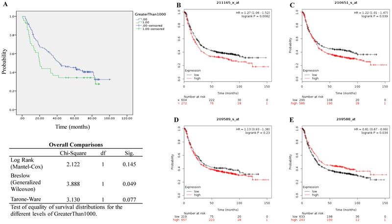 J Cancer Image