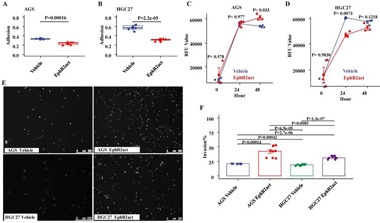 J Cancer Image