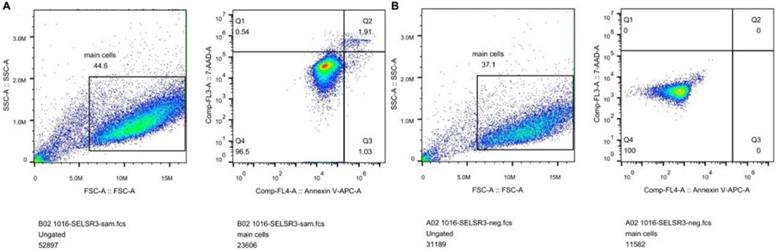 J Cancer Image