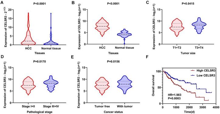 J Cancer Image