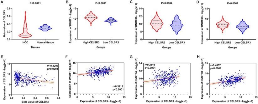 J Cancer Image