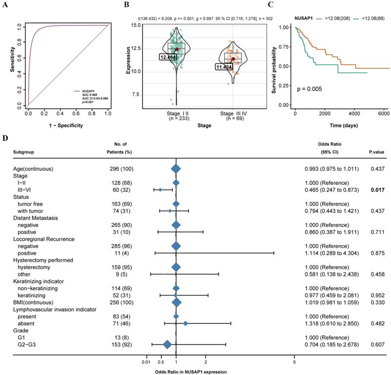 J Cancer Image