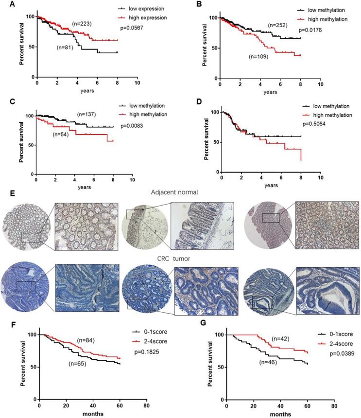 J Cancer Image