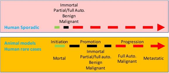 Evidence for immortality and autonomy in animal cancer models is