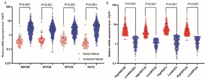 J Cancer Image