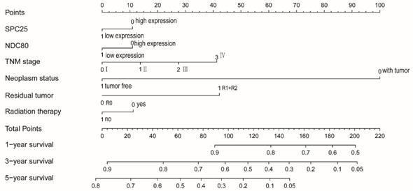 J Cancer Image