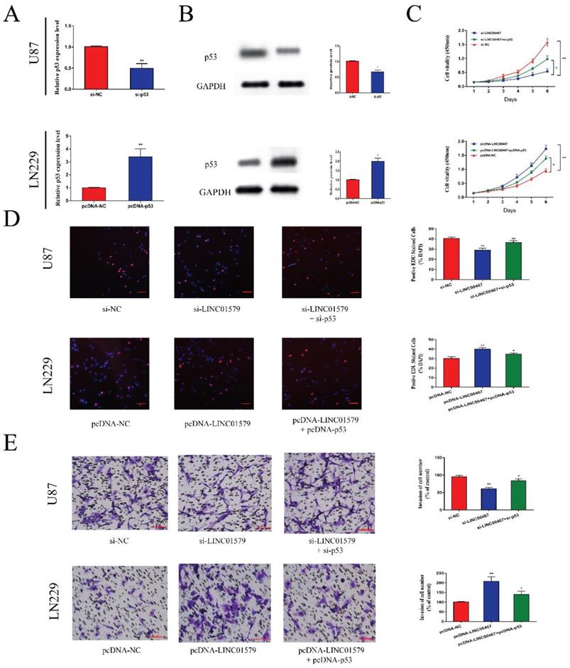 J Cancer Image