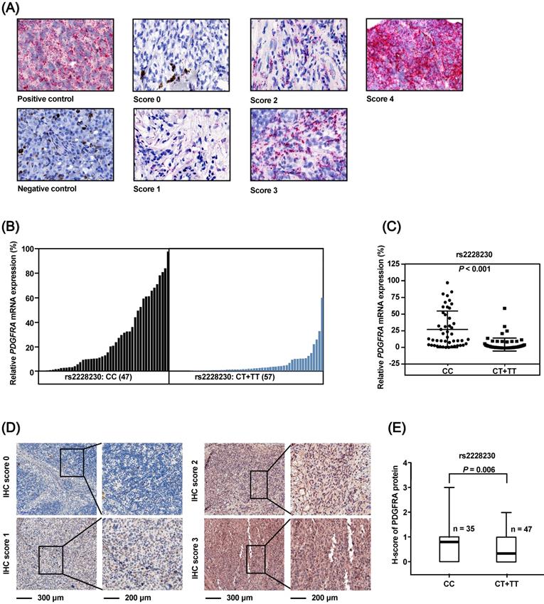 J Cancer Image