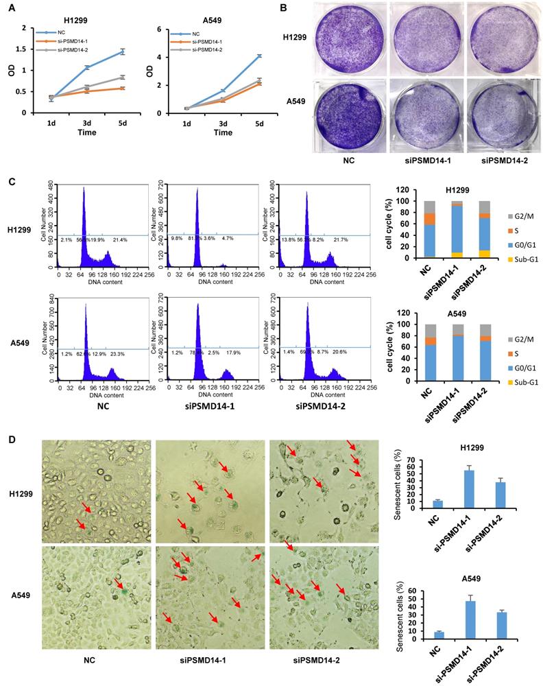 J Cancer Image