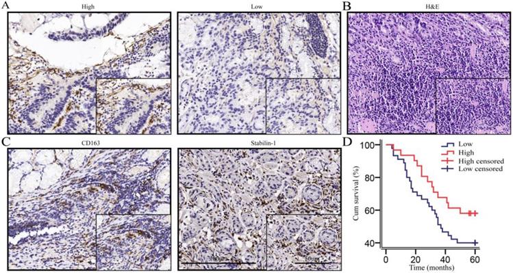 J Cancer Image