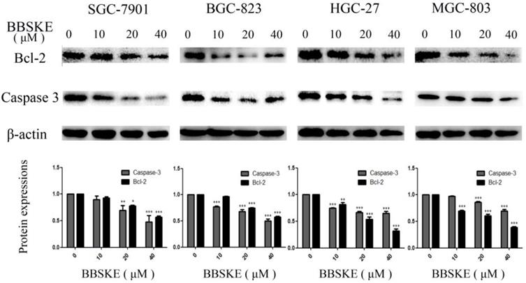 J Cancer Image