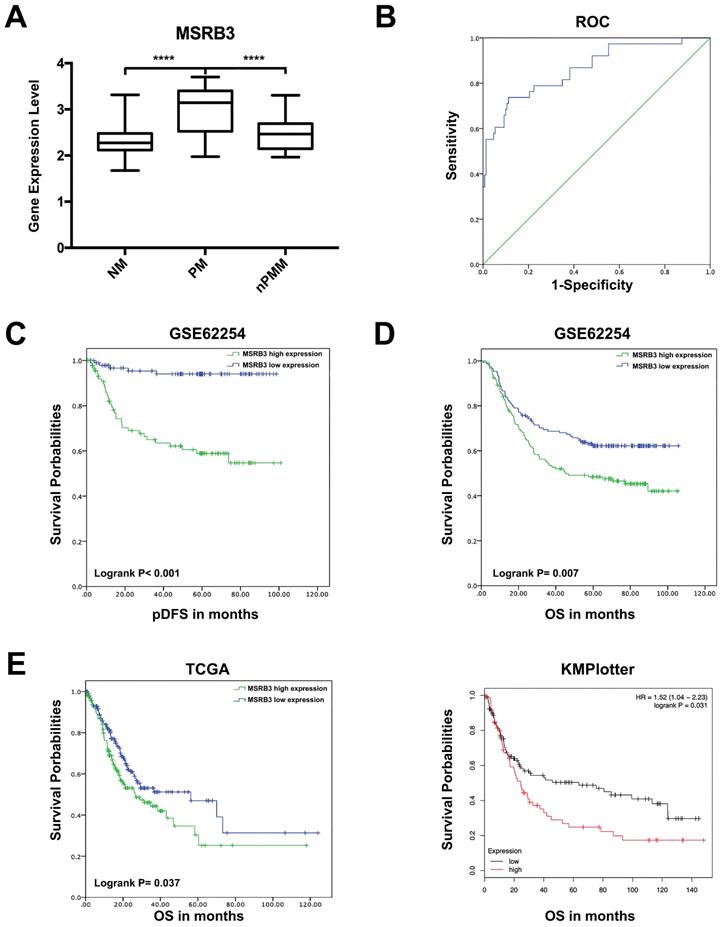 J Cancer Image