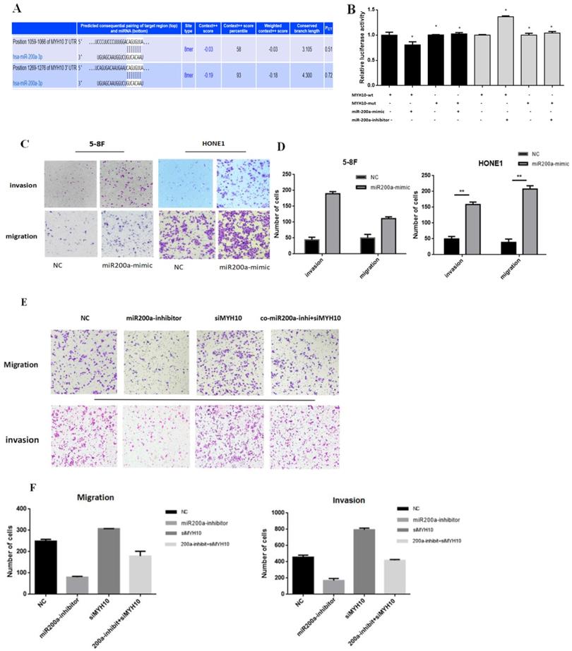 J Cancer Image