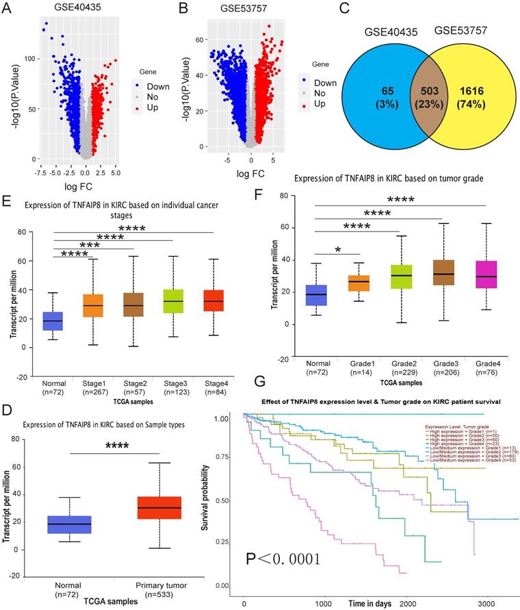 J Cancer Image