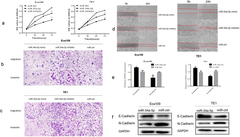 J Cancer Image