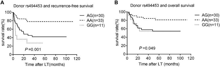 J Cancer Image