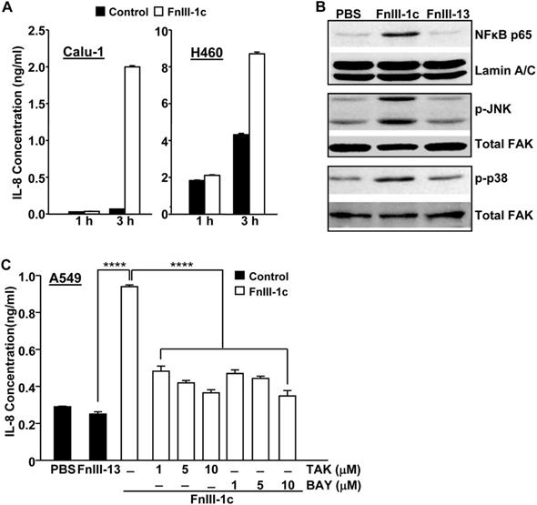 J Cancer Image