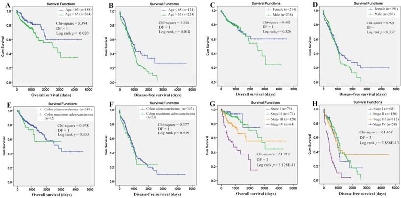 J Cancer Image