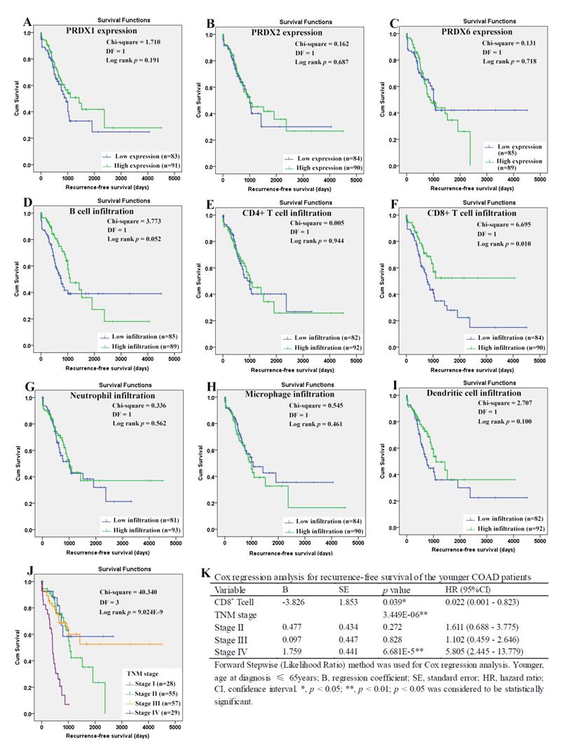 J Cancer Image