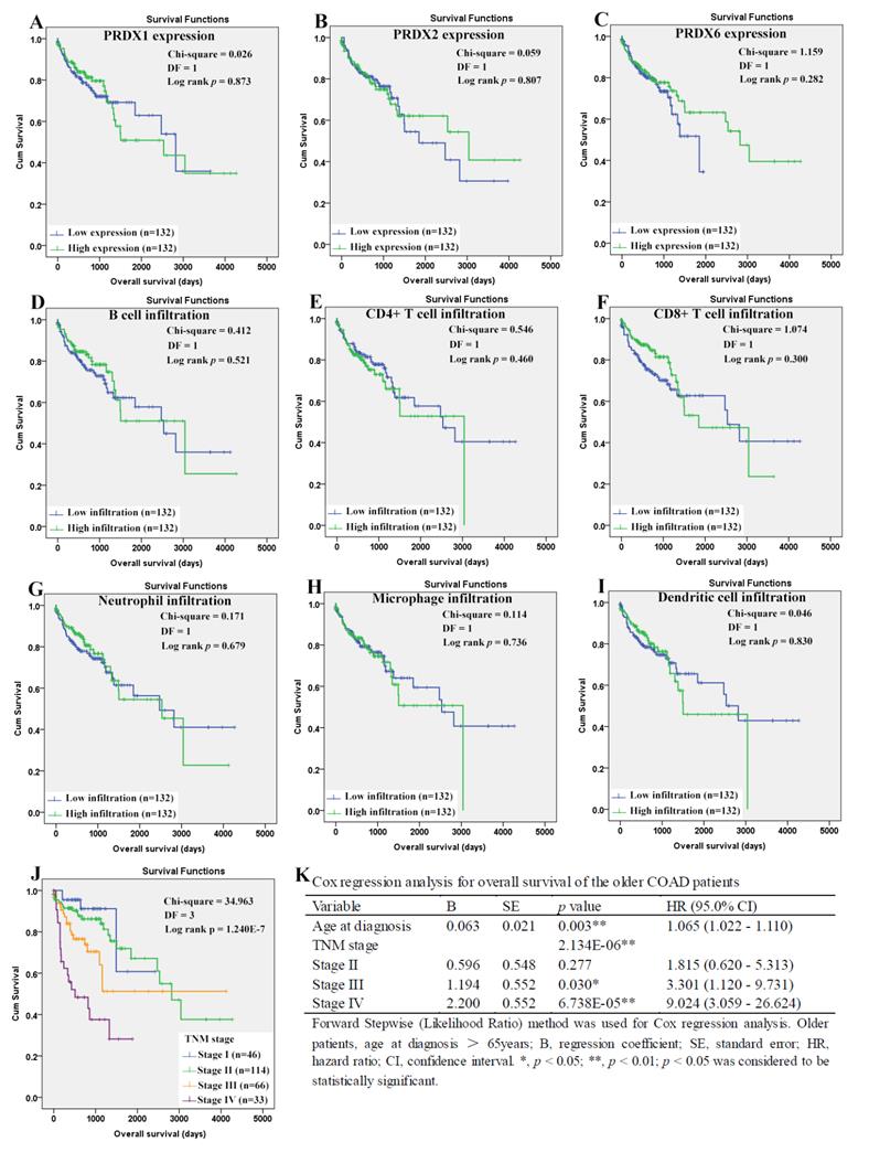 J Cancer Image