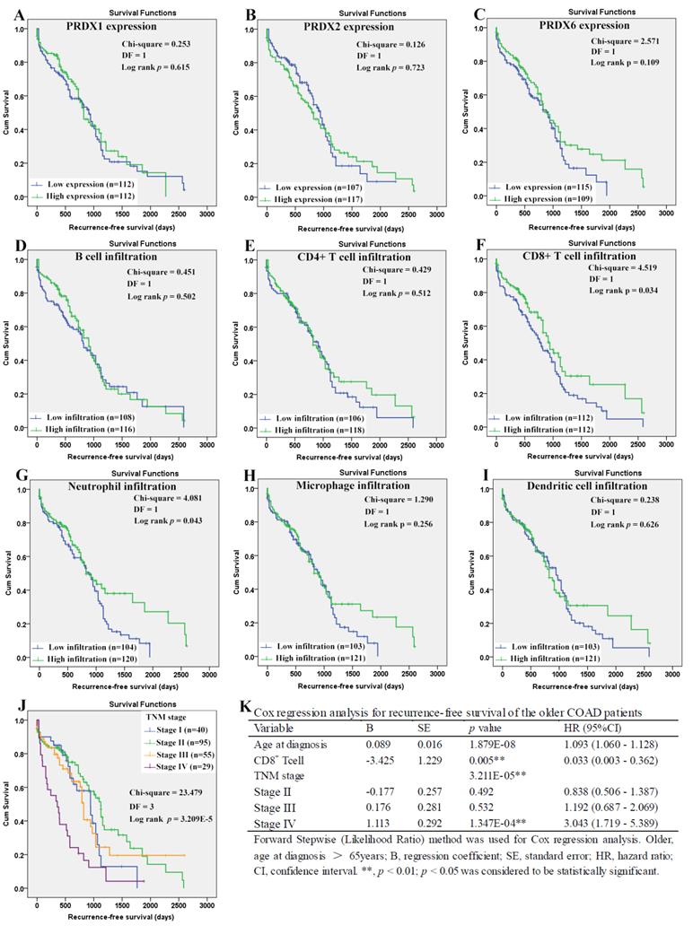 J Cancer Image