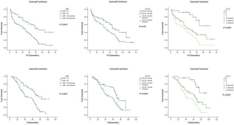 J Cancer Image