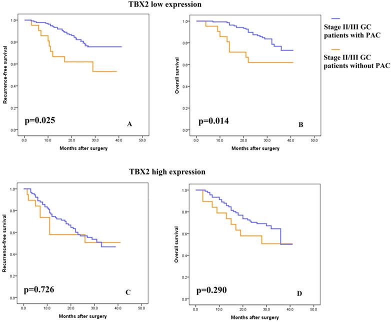 J Cancer Image