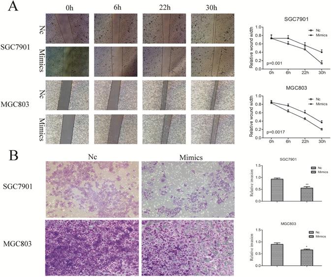 J Cancer Image