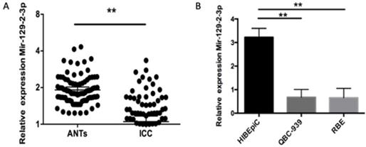 J Cancer Image