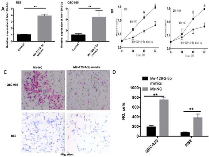 J Cancer Image