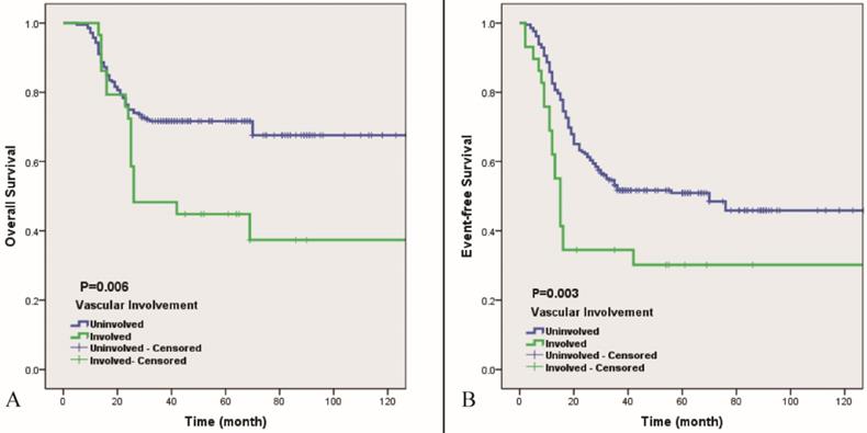 J Cancer Image