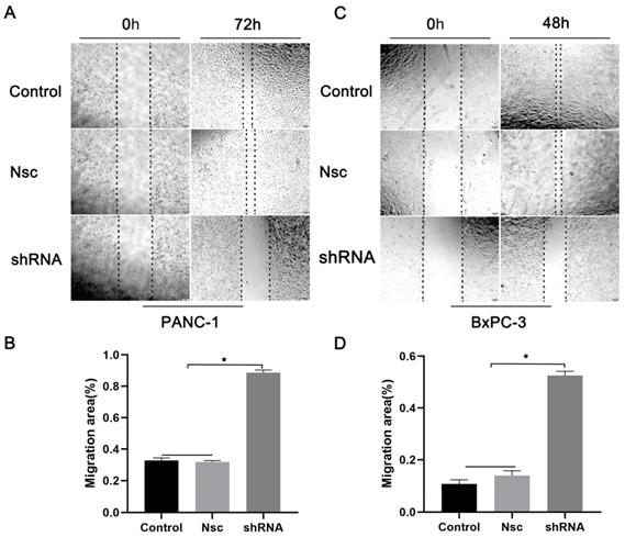 J Cancer Image