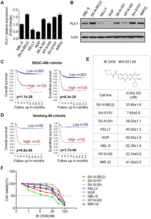 J Cancer Image