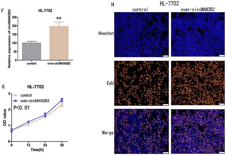 J Cancer Image