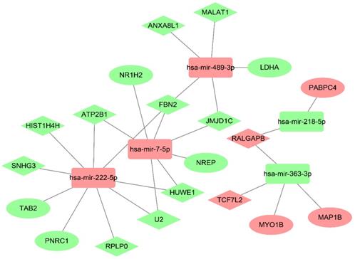 J Cancer Image