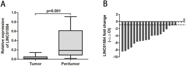 J Cancer Image