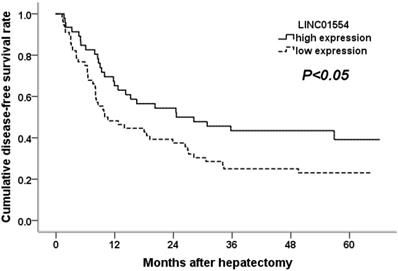 J Cancer Image