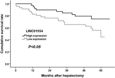 J Cancer Image