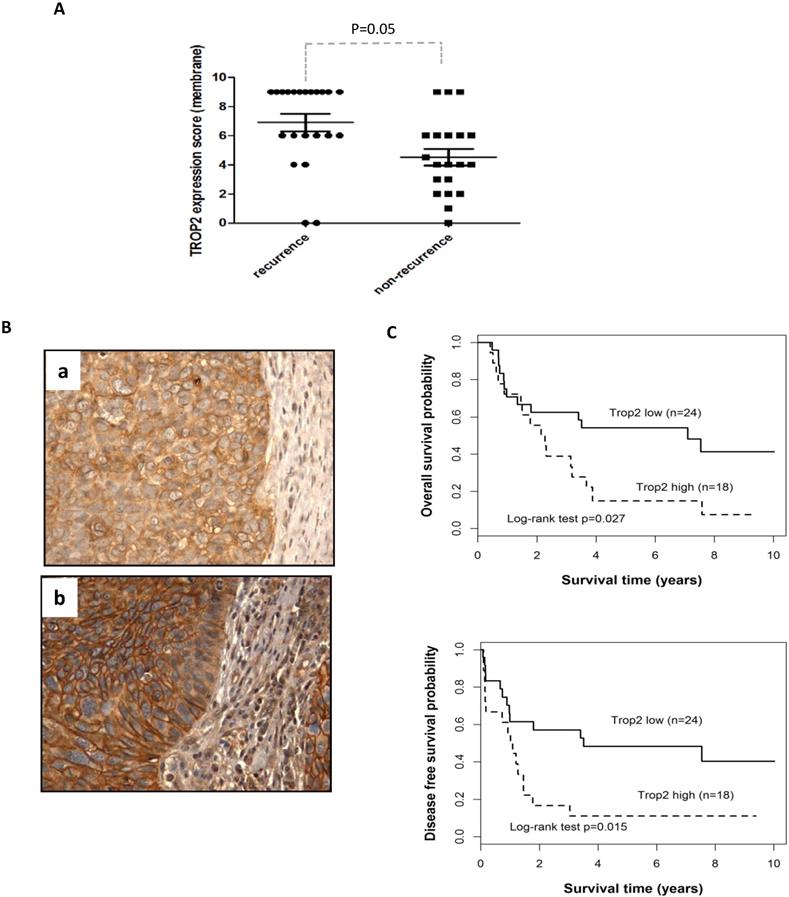 J Cancer Image