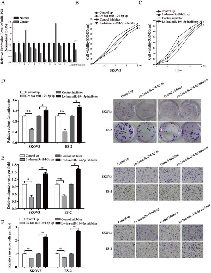 J Cancer Image