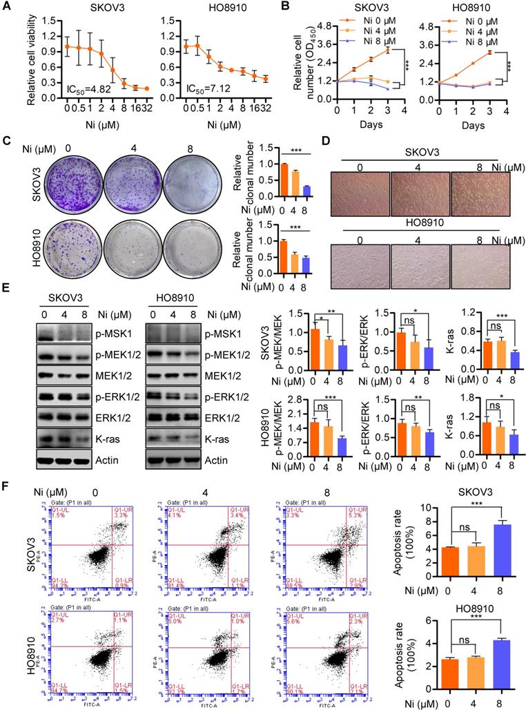 J Cancer Image