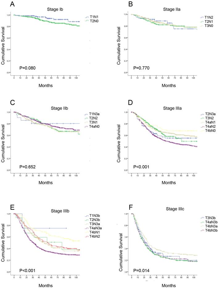 J Cancer Image