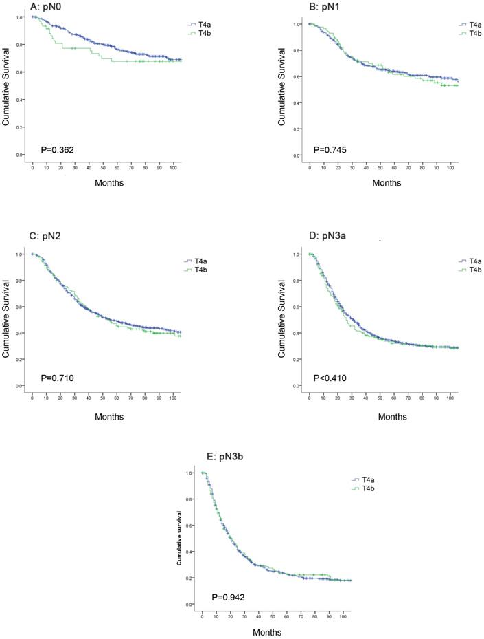 J Cancer Image