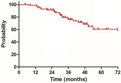 J Cancer Image