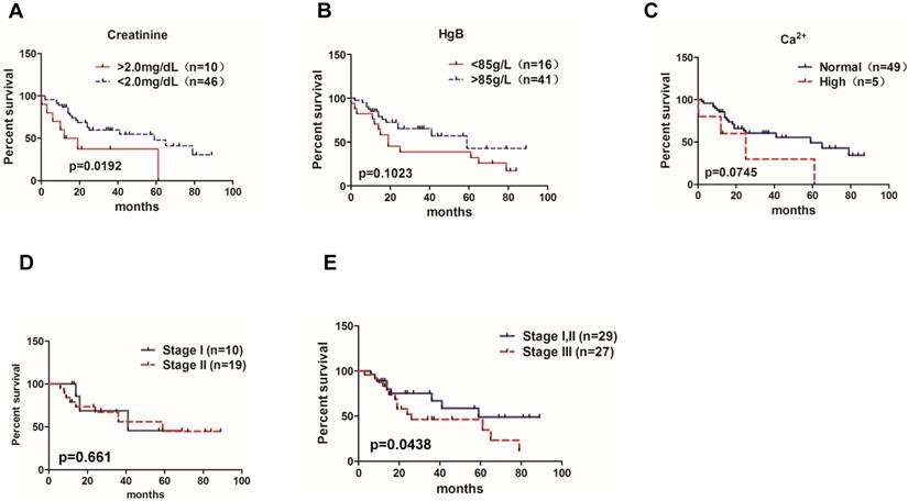 J Cancer Image